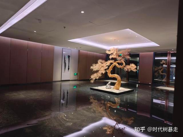 深圳坪山也有一个超级好的酒店,规模宏大,值得一睡