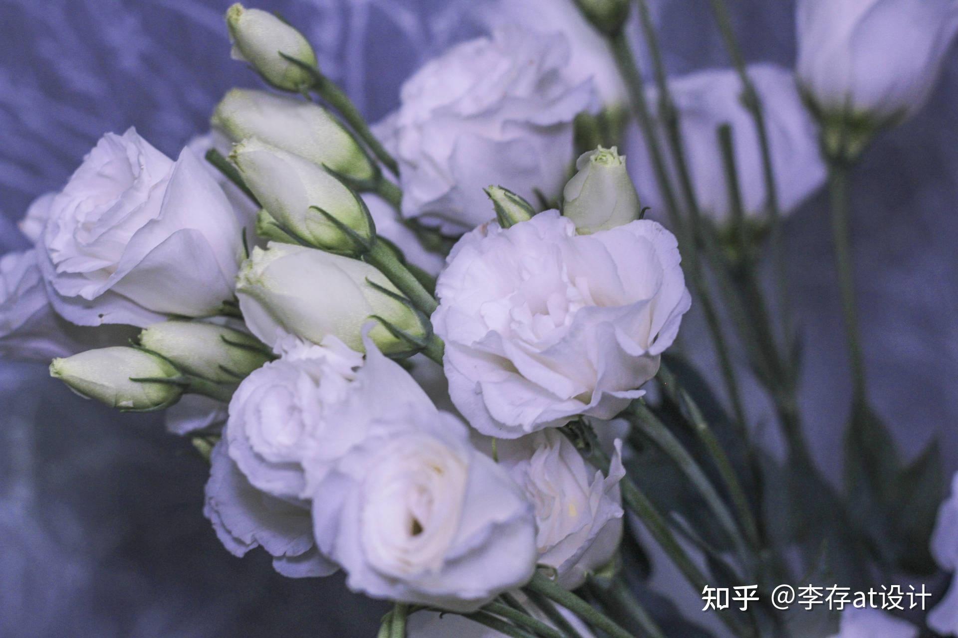 v2-acd691185ac99a4b34295b168d75a9f9_r.jpg