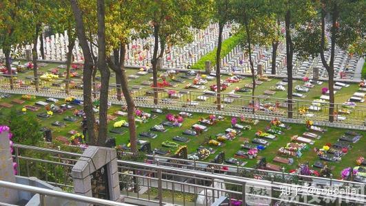 微祭祀,代客祭祀, 时空信箱等新型祭祀方式,不少殡仪馆也推出了生态
