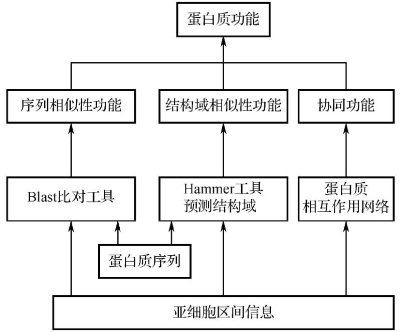 知乎盐选 | 13.2 蛋白质功能预测方法 LSDC