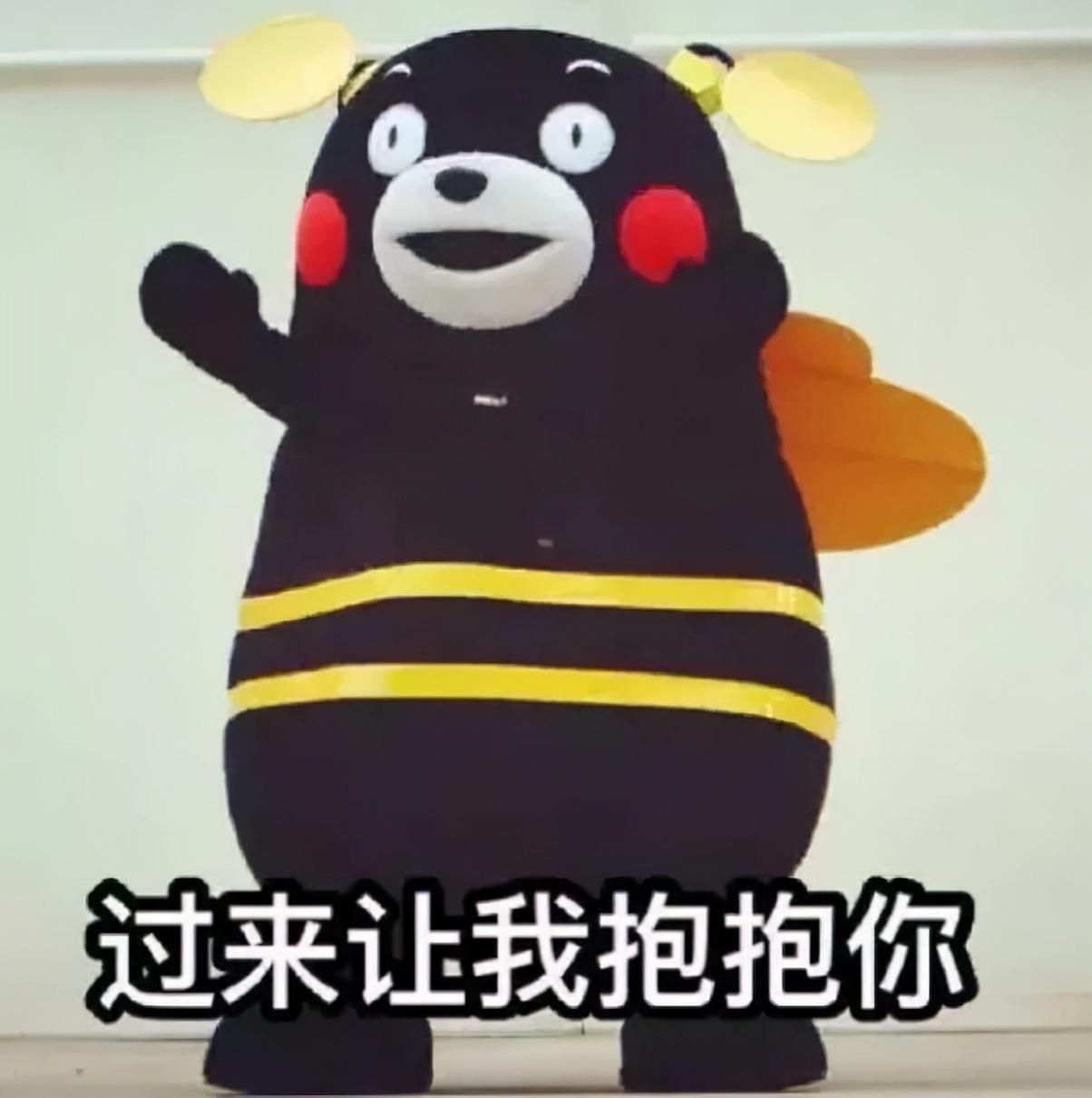 "小鼎,我明年30 了,[大哭]是不是能考的区只有一两个啦?