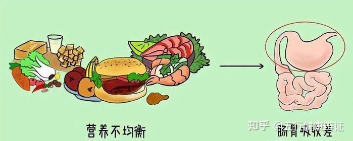 脾胃一伤,则五脏皆无生气!脾胃虚弱,可能和四种因素有关