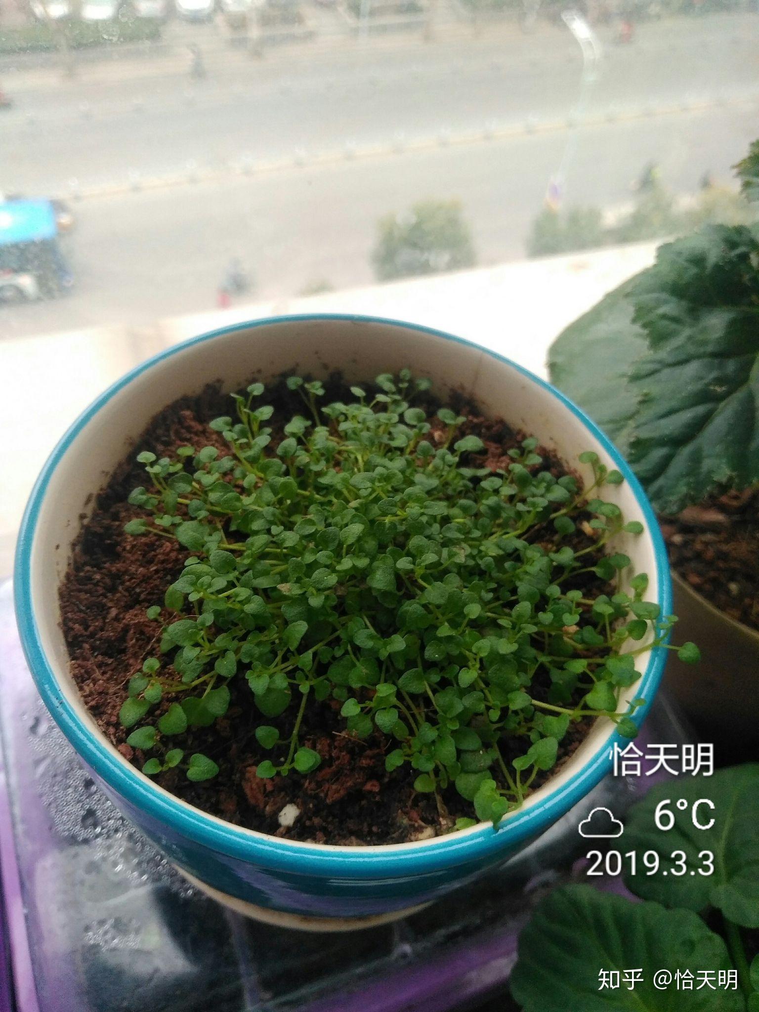 v2-acefe11fe06e74005a64b419ac38ed51_r.jpg