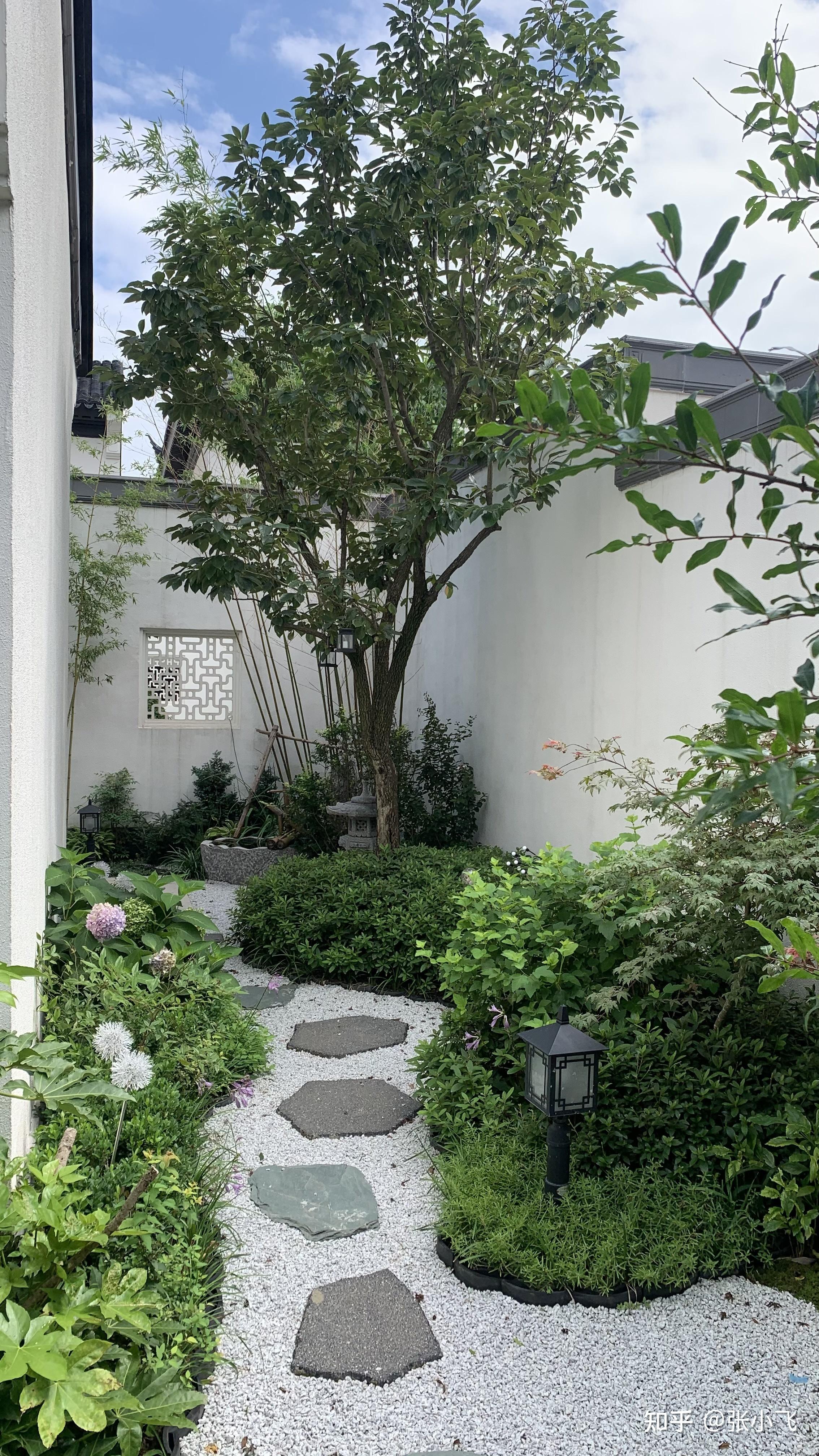 中式景观小院装修日记