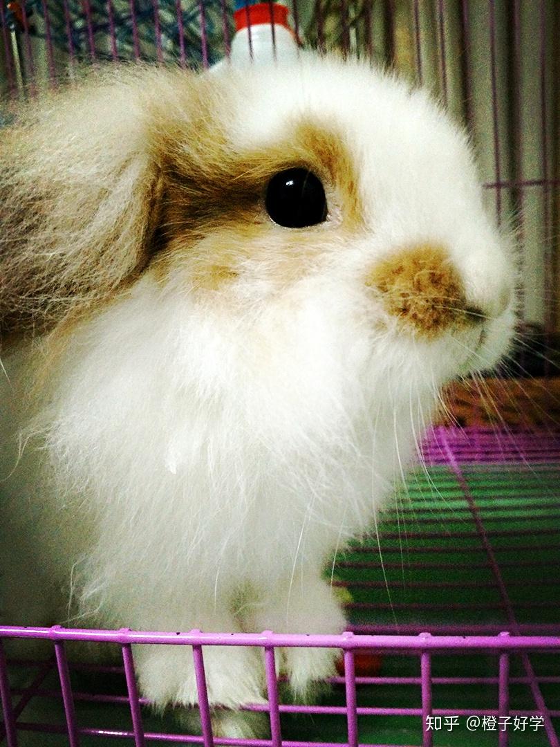 个人税后月薪一万在上海是什么样的体验?