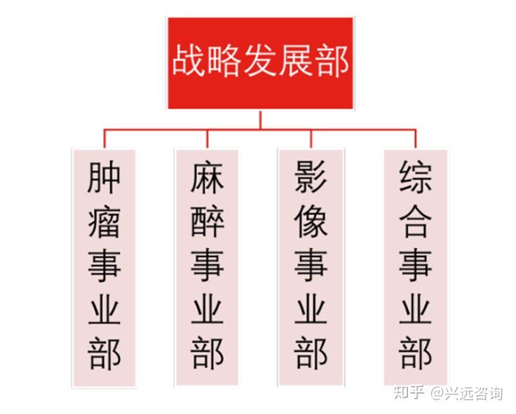 艾素化疗药图片