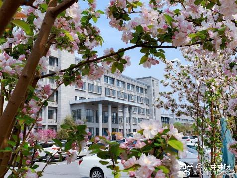 htm2022年天津师范大学硕士研究生分专业报考情况及实际接收推免生