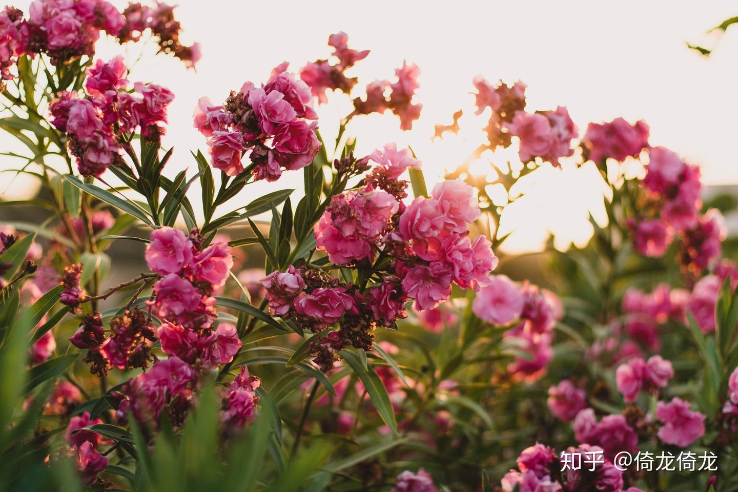 给自己的忠告：“同情心，不能太泛滥” - 知乎