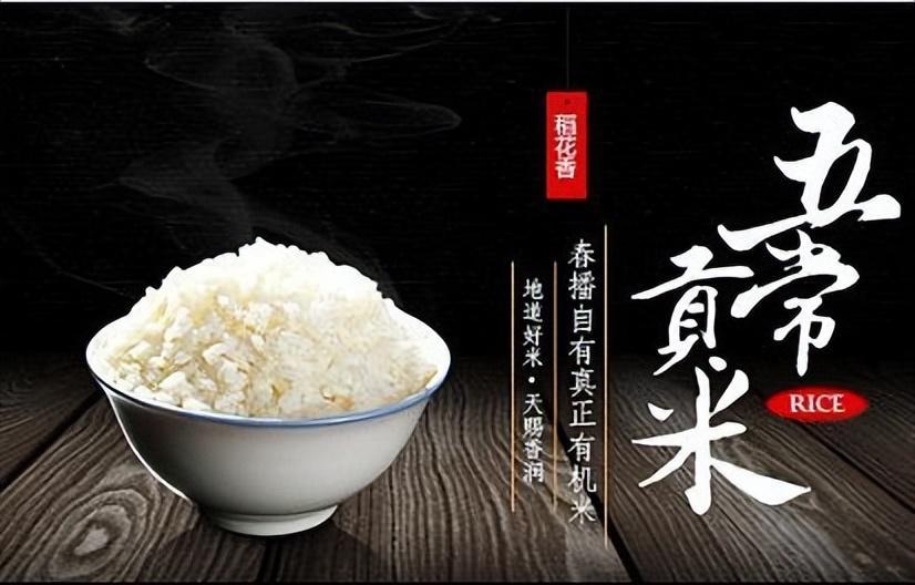 东北五常大米好吃,五常大米价格是多少?如何辨别五常大米 - 知乎