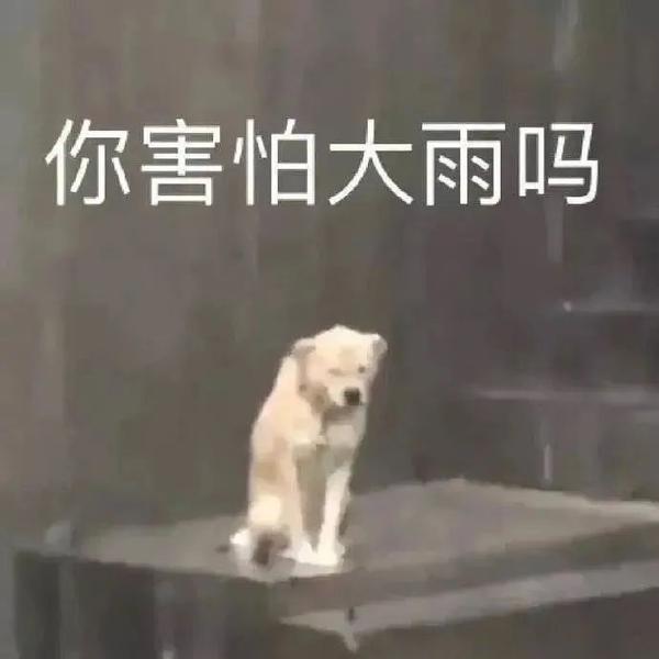 淋雨小狗撑伞表情包丨只有我单身吗 - 知乎