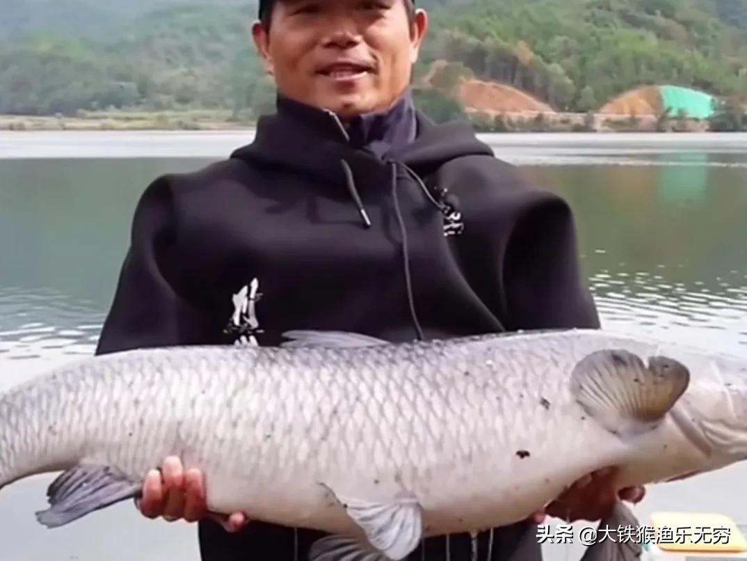 天元邓刚狂拉巨青之谜邓刚一句话气哭百万钓鱼人