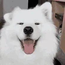赛博朋克里的性偶是什么(赛博朋克故事中经常出现的性偶,离我们还远吗?) 第3张 赛博朋克里的性偶是什么(赛博朋克故事中经常出现的性偶,离我们还远吗?) 第3张
