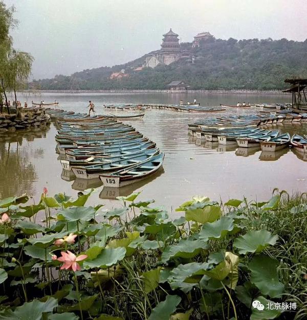 00张北京老照片，谁能忍住不哭？"