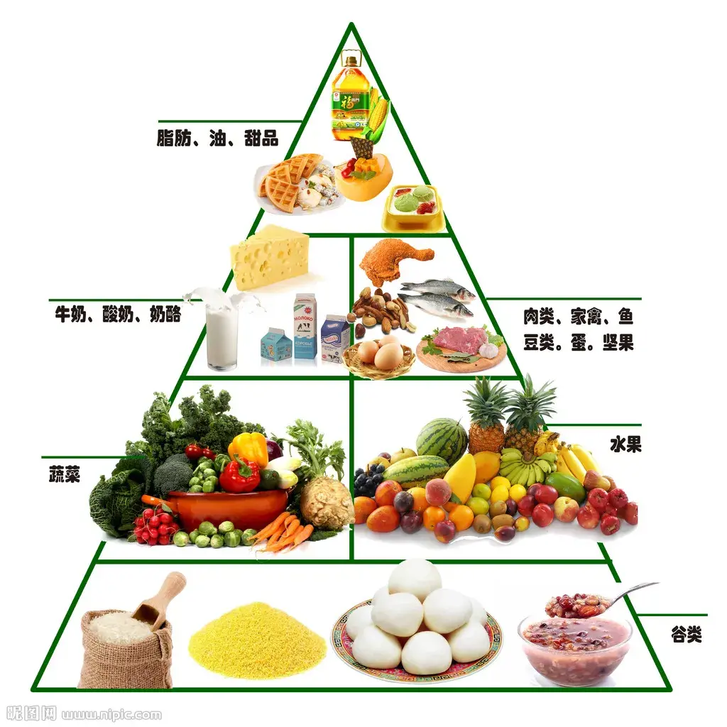 营养金字塔标准图片
