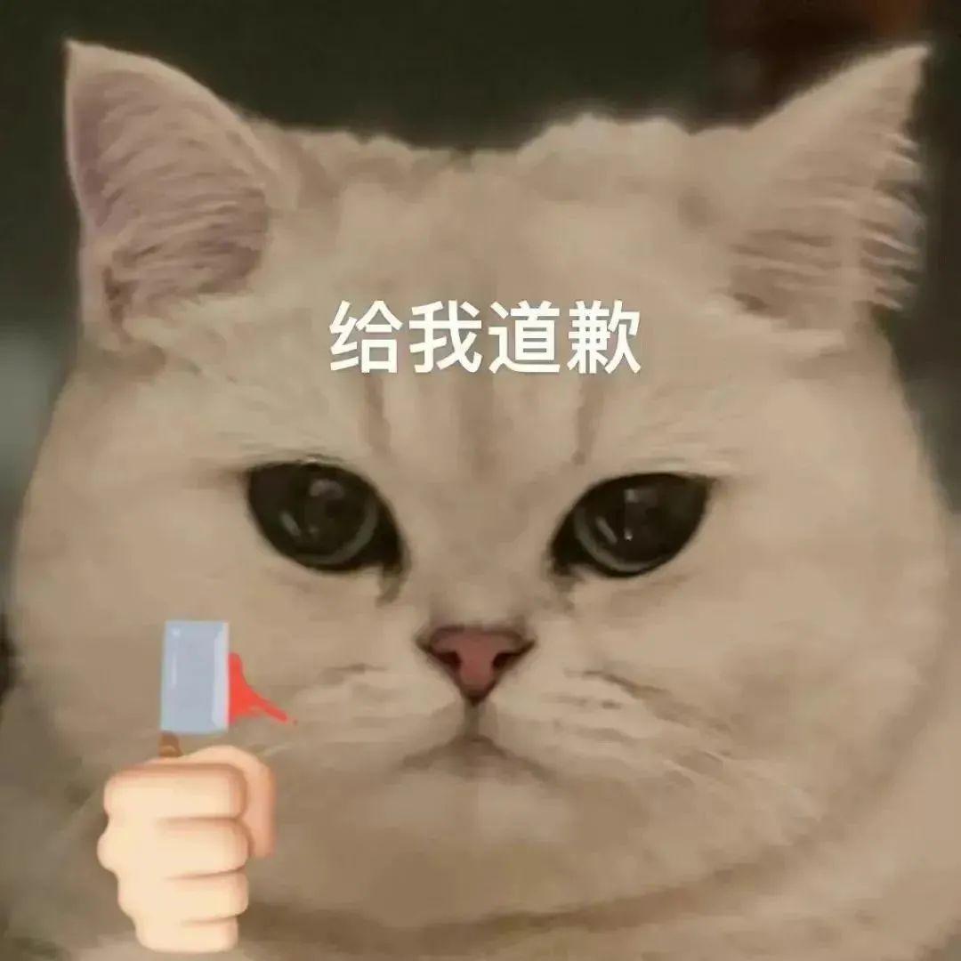 120张万能的表情包推荐-万能表情图片大全