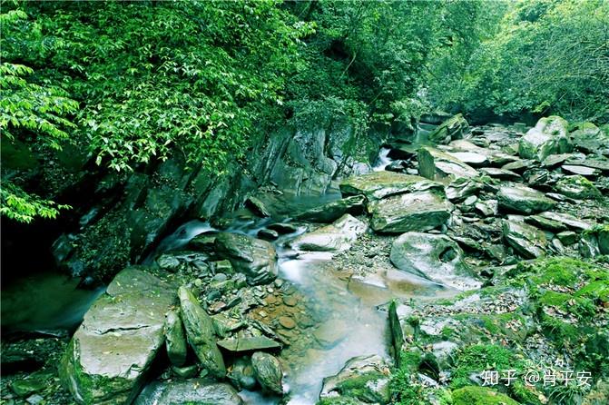 梵净山升仙之山,超越时空的净地,世间难得的一方净土-仙气飘飘的梵净山叫什么