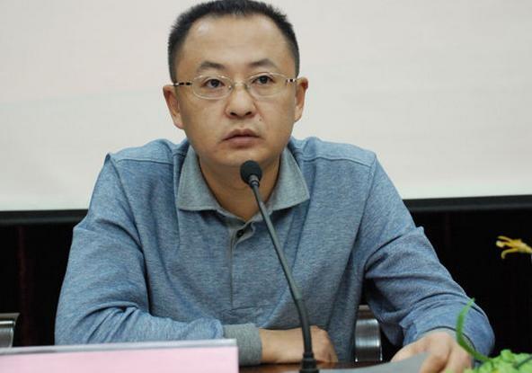 发展委员会主任张新宇,区委副书记,区长杜海波等出席会议并做主题讲话