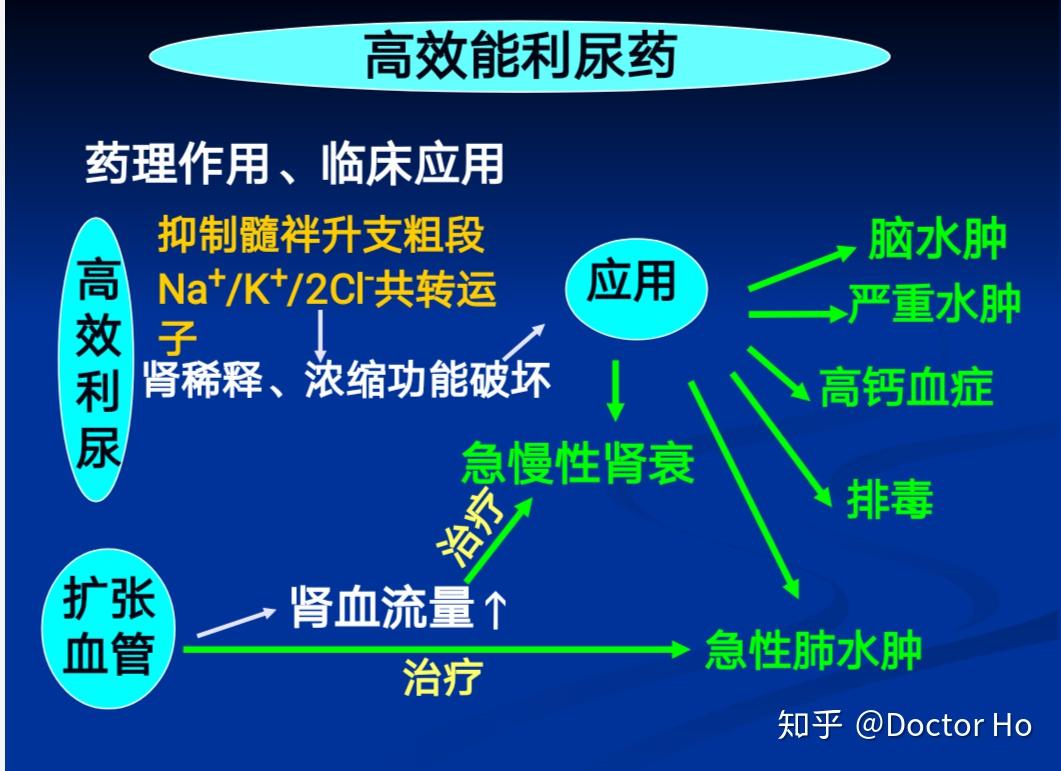 【药理作用及作用机制】1)利尿作用:主要作用于髓泮升支粗段髓质部和