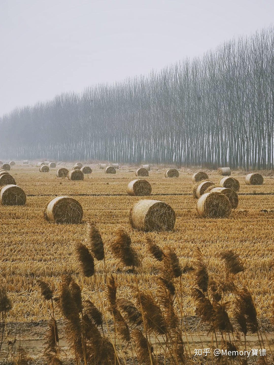 小米cc9 pro