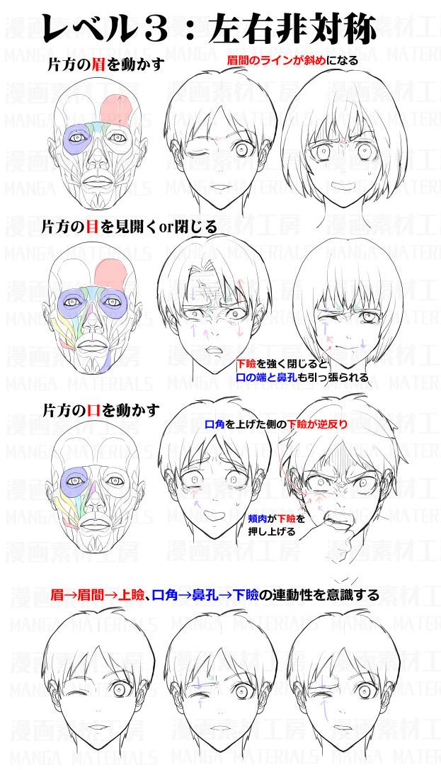 画师素材分享十几张动漫脸部肌肉图