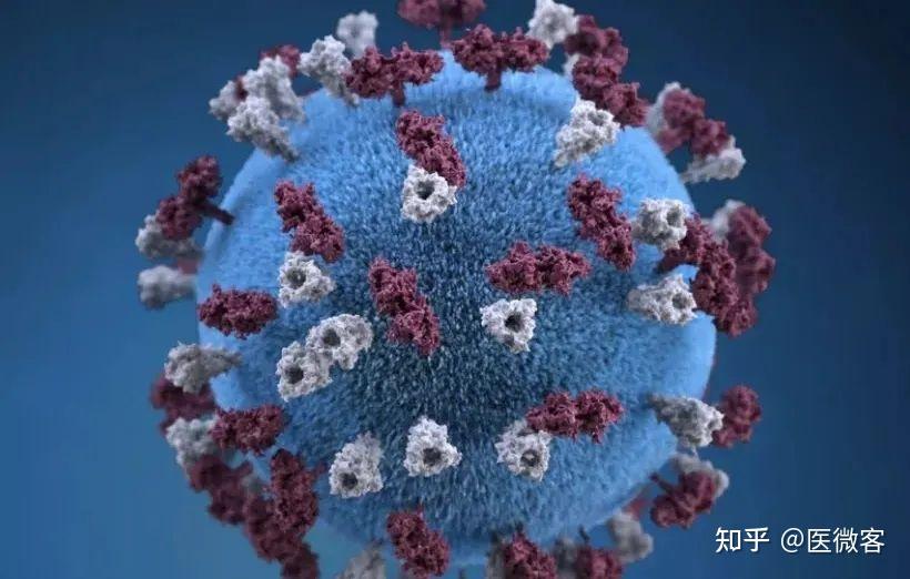 检君谈医学检验在治疗方面,赖峰表示,与猴子接触后,若身体出现了伤口