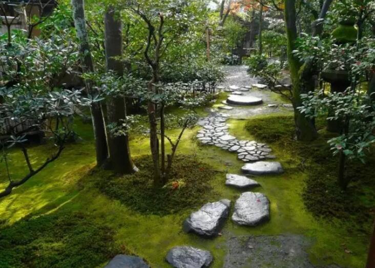茶庭——又称为露地,附属于日本茶室的庭院,历史可以追溯到室町时代