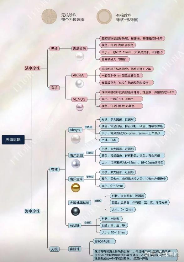 淡水珍珠价格表图片