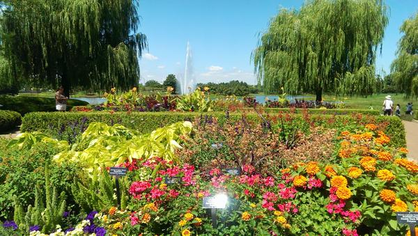 芝加哥景点攻略：芝加哥植物园 (The Chicago Botanic Gardens) - 知乎