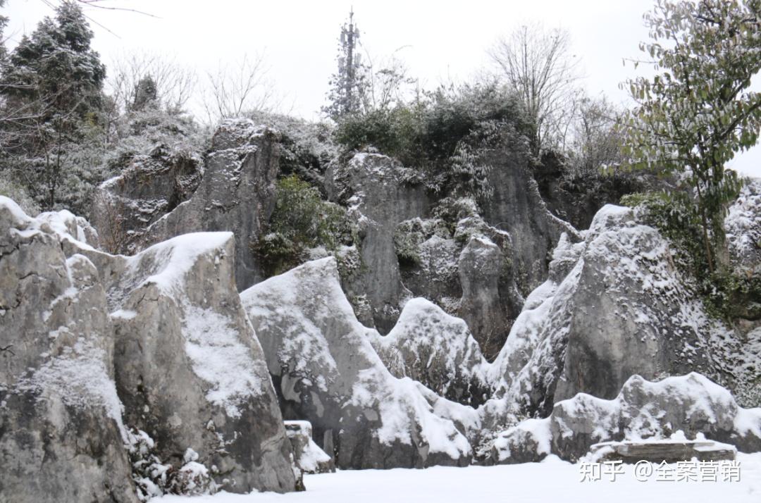 争创天府旅游名县|再见2022,细数那些时光里的小美好