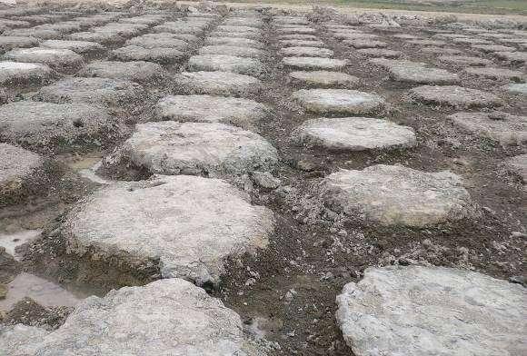 【每日一练】基坑支护桩-水泥搅拌桩 - 知乎