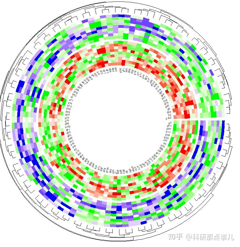 R可视化——环形热图 - 知乎