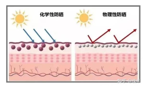 衰老、暗沉、皱纹？该如何解决？ - 知乎