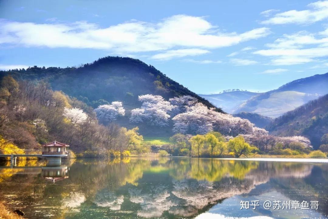 摄影的景别 - 知乎