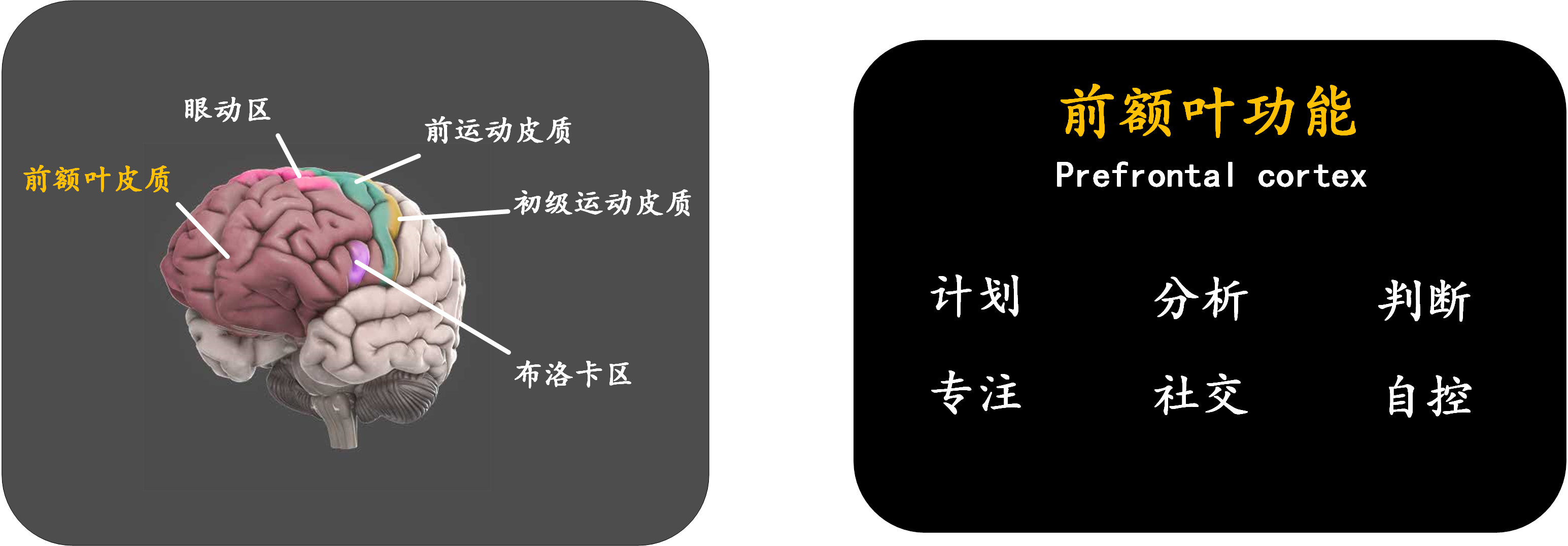 脑科学：现代人的一门重要必修课 - 知乎
