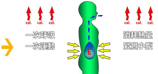 v2-adc5fd055a6f6cbf1444aeab5d0f2e55_r.jpg