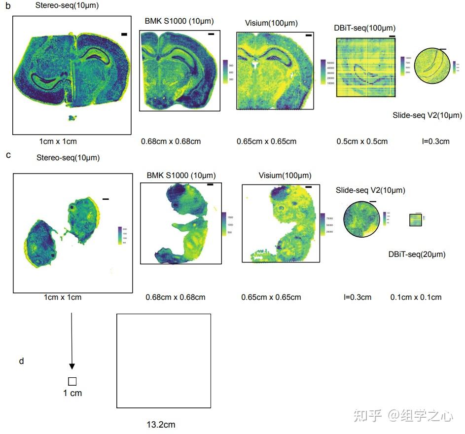 nature methods | 11种空间转录组学技术的系统性比较 - 知乎