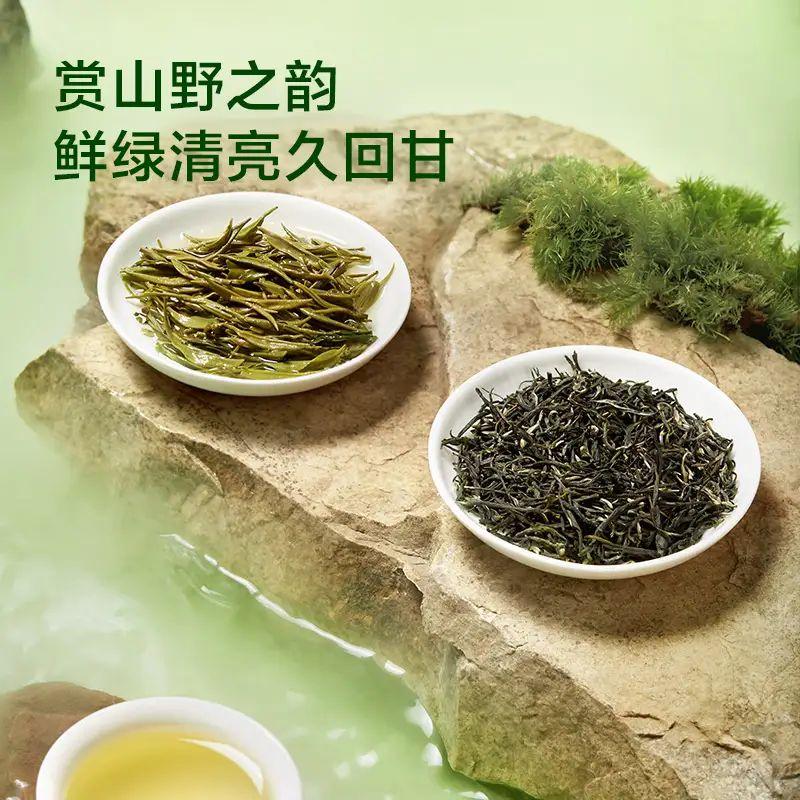 无农残茶叶推荐京东京造品牌信阳毛尖绿茶
