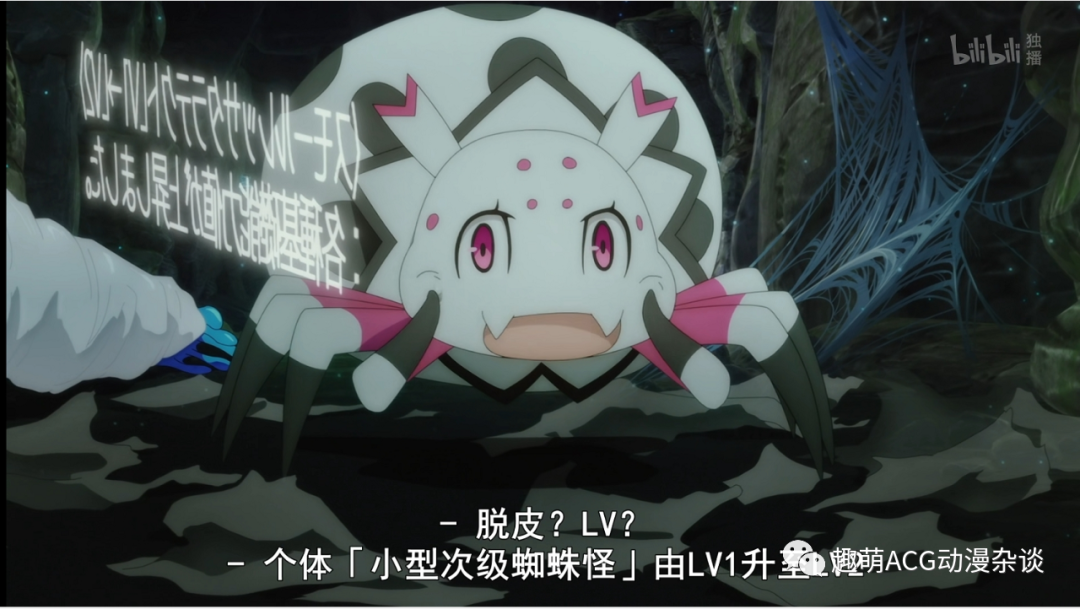 一月最佳单口相声我的蜘蛛子不可能这么可爱