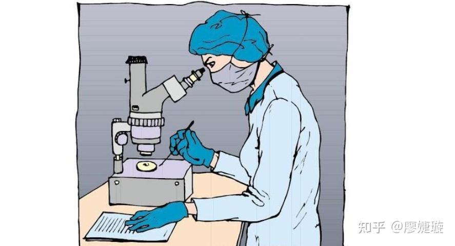 2022年值得选购的显微镜品牌推荐什么牌子的显微镜好如何选购显微镜