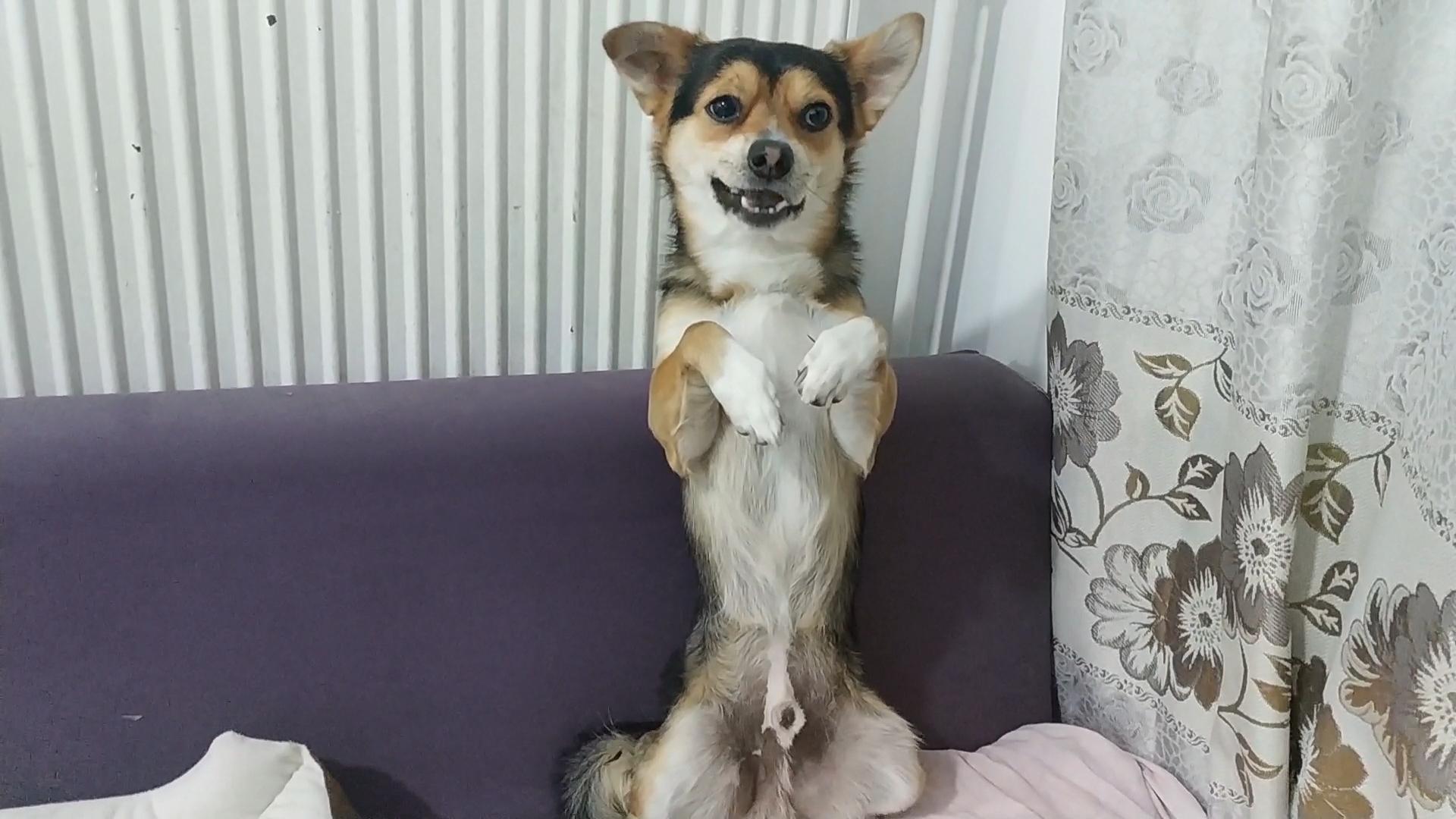 这姿势好搞笑发布于 昨天 08:52 · 3050 次播放中华田