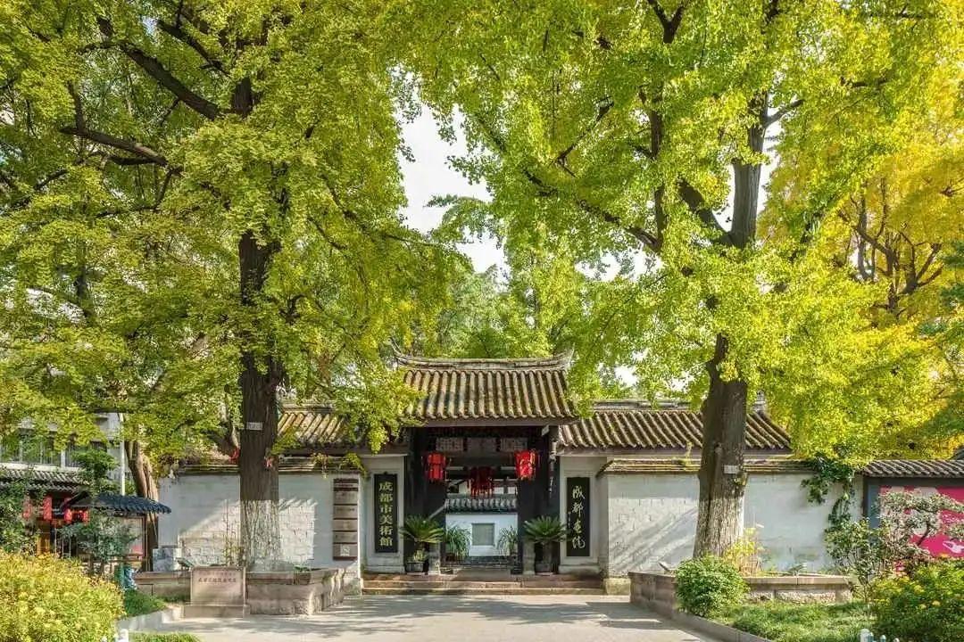 好消息疫情期间成都图书馆可免除滞纳金成都画院也开放啦