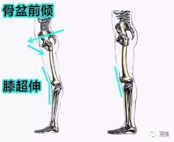 v2-ae086e36103a9d85269770a9dc77cc99_b.jpg