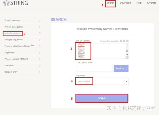 STRING数据库在网络药理学研究中的应用详解 - 知乎