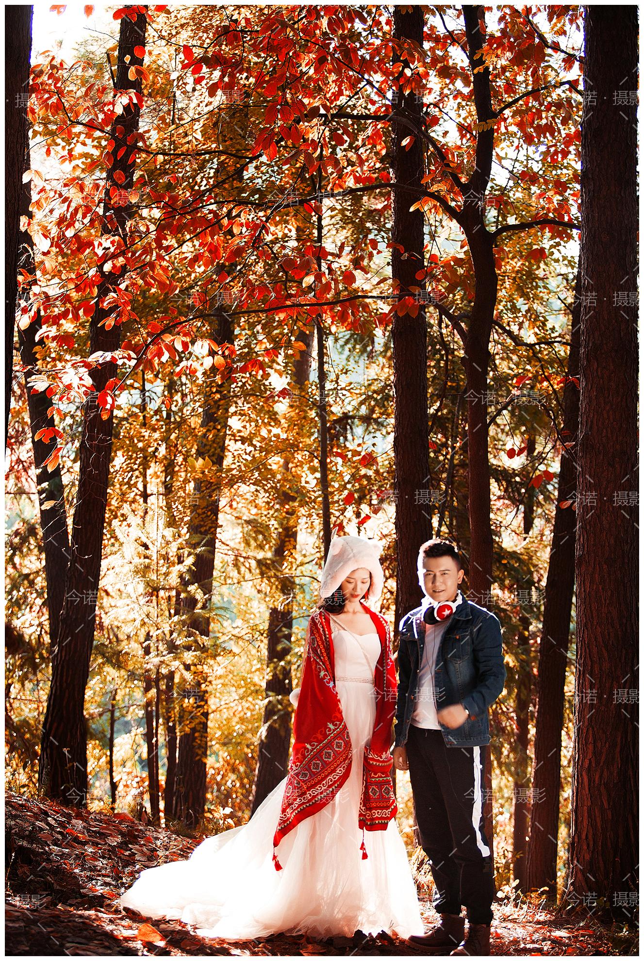 红色条形系列婚纱图片素材-编号15477096-图行天下