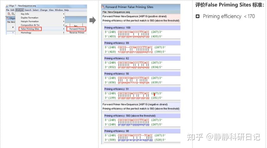 使用oligo7.0设计引物、评价引物以及如何尽量避免二聚体/发卡结构的产生 - 知乎