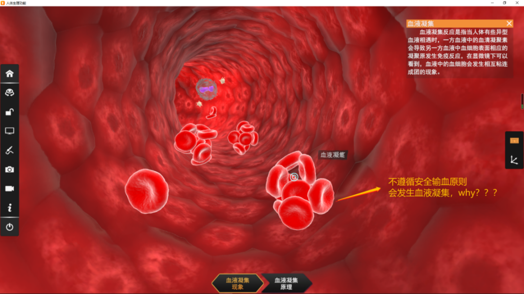【生物知识】从血型到凝血，安全输血你真的了解么？ - 知乎