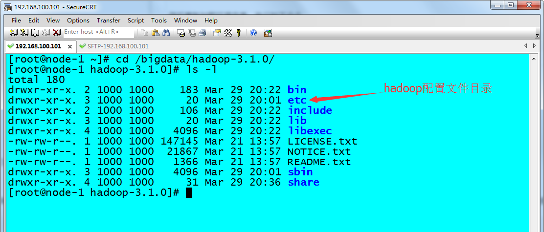 Centos как запустить hadoop