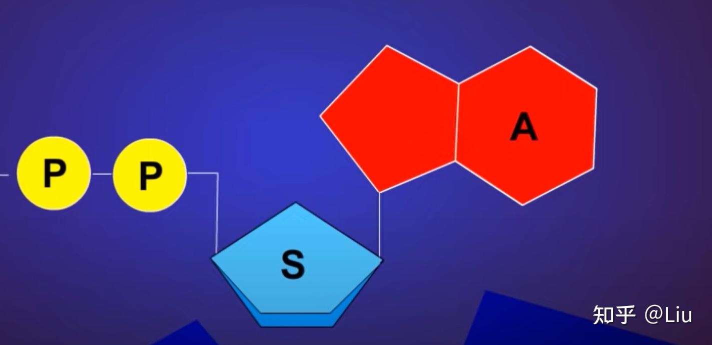 什么是ATP - 知乎