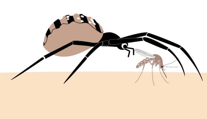 蜜蜂怎么画简单点 v2-ae3cd787fa2ad5d7f7faa55c42c189b1_r.jpg