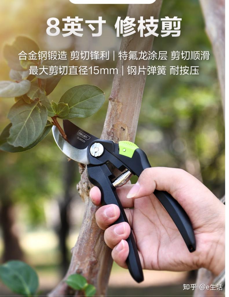 2025年十园林剪刀品牌排名 - 知乎